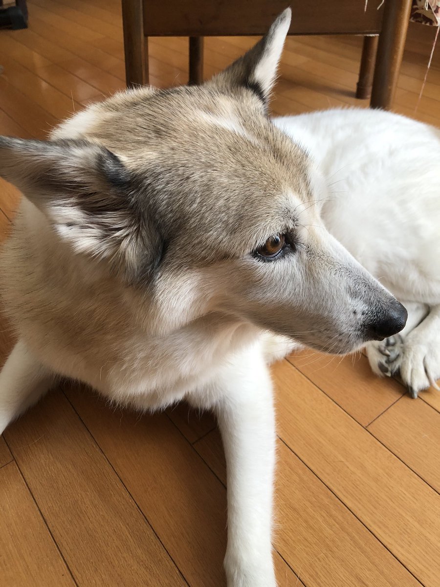 reraneue's tweet photo. 混ぜてほしい https://t.co/bfSn96z9I4
