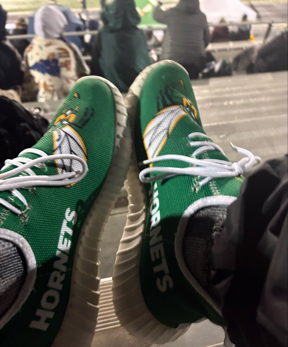 Edina: Hornet shoes go to 2-0 in the postseason and the Hornets are off to the section finals! 1-0 win tonight over a very good