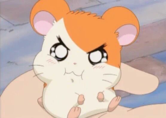 nightanddayz's tweet photo. evan being a literal hamster (i'm bambhee truther tho)
My choice is #EVAN for #2026MAMAVOTE https://t.co/zfkDfIK3fk