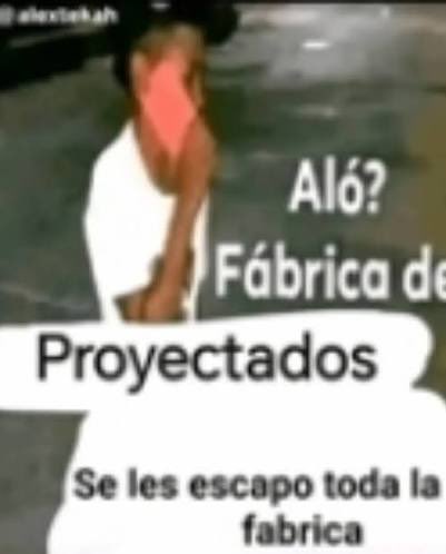 ChichaWeyy's tweet photo. Todos escuchando mosca https://t.co/aVoaT28LSY