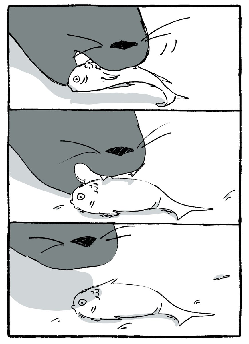 pokubachi's tweet photo. (1/13) Anyways- the continuation! 🦭🦭 https://t.co/WwAcOckCnu