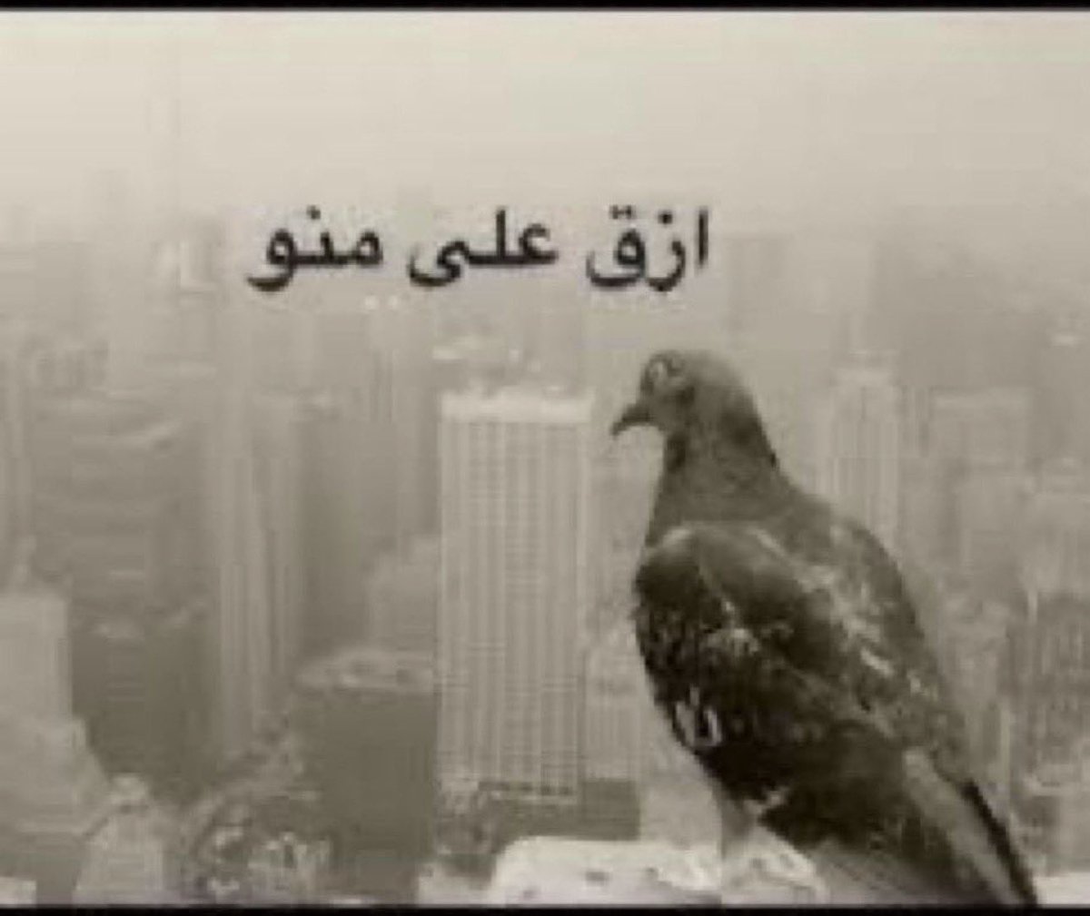 ksssa1985's tweet photo. السعودي اول مايدخل تويتر 
#السعوديه_العظمى_خط_احمر https://t.co/yRWLtBTD8Y