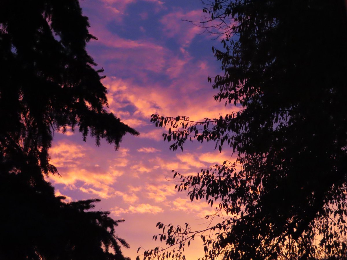 Anna6AAaa's tweet photo. The best part of tonight was watching the beautiful sunset and seeing how the colors changed over the course of five minutes. It was absolutely stunning! https://t.co/RQrcXPLgrF