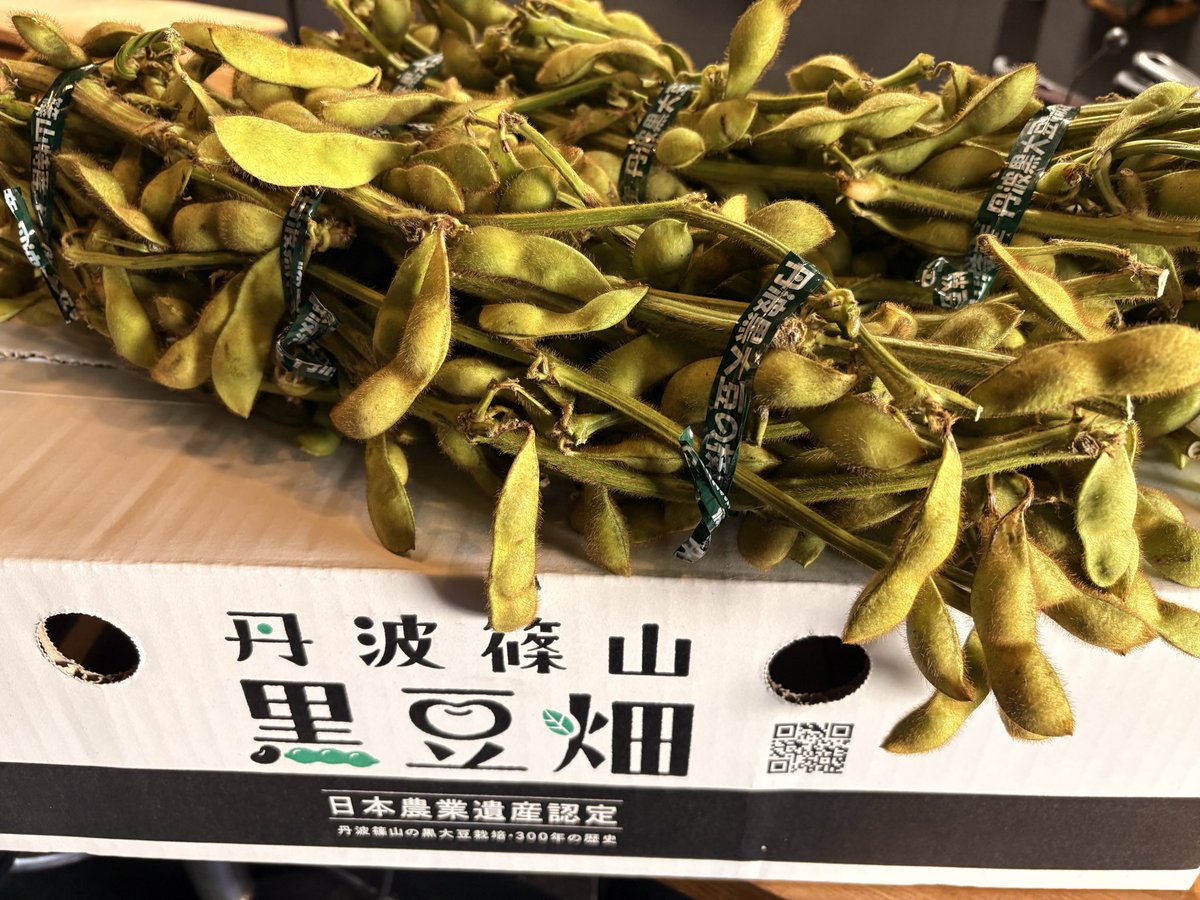 goheiji's tweet photo. きょうのおばんざい今夜は‼️
丹波篠山から黒枝豆が届きました🫛
甘味があってめっちゃ美味しいです👍
ナスの肉みそ炒め
秋の収穫 万願寺唐辛子炭焼
ポテト＆チーズのフライ盛合せ
などなど
#五平次 #炭焼 #丹波篠山黒枝豆 #黒豆畑 #京都グルメ https://t.co/X0kkmnDttA