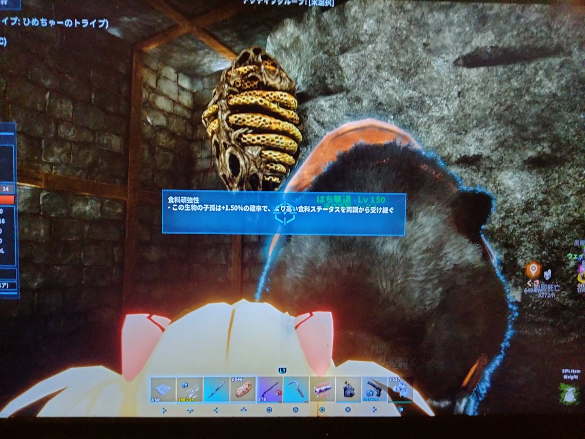 JuB9eTsfJduS9dn's tweet photo. 昨日から
はちの巣みつけては
はちが上に飛んでって
1匹もテイムできないから

お邪魔してるサーバーの方々へ
ご相談の結果
🐝1匹に大事
(>□<)ひゃー!!

ちゃんとベッドも作らないとね、、、
怖いからね https://t.co/lEAusXKPq4