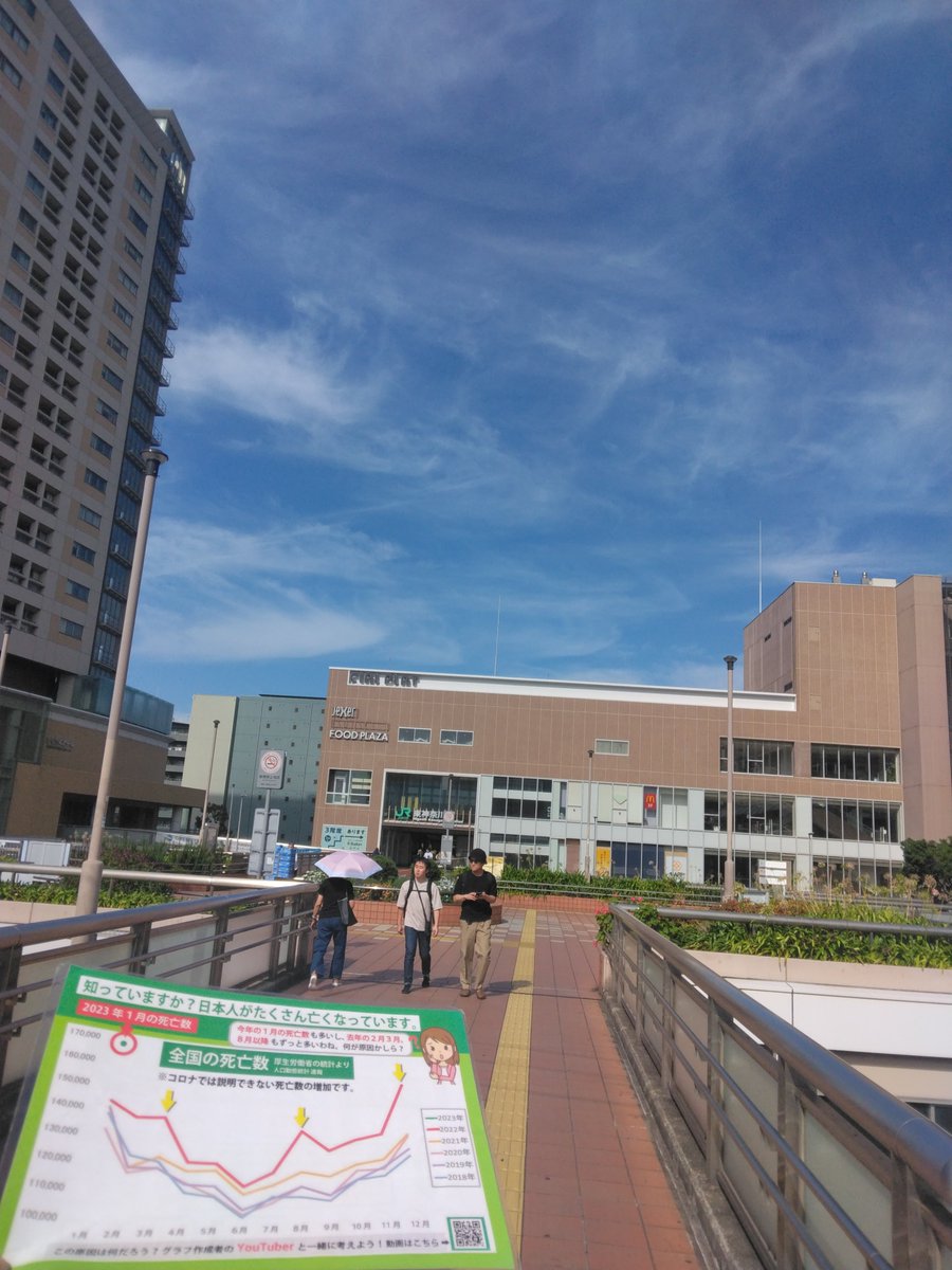 tkobetsu's tweet photo. 死者がふえています
東神奈川駅で10枚くらいくばりました。 https://t.co/g81L4d6PA5