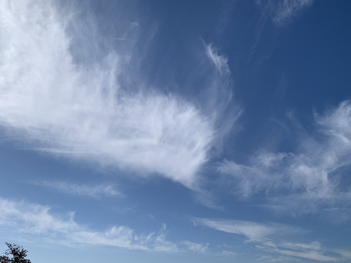 kaju319's tweet photo. 空が高くて広い https://t.co/eqNEx4Qc9D
