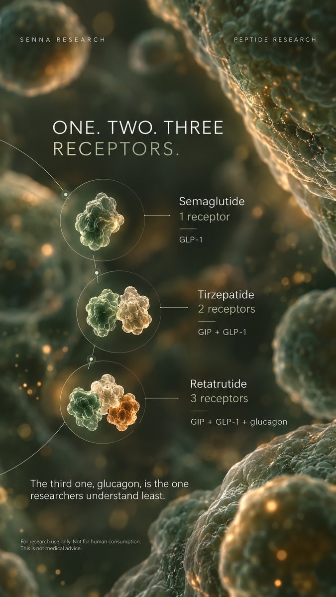Sennaresearch's tweet photo. The semaglutide vs tirzepatide vs retatrutide chart is all over the timeline. It's built from three trials that never tested these compounds against each other.
Here's what each trial measured, and the one pair that has been compared head-to-head.
Semaglutide. One receptor: GLP-1.
STEP 1 (NEJM, 2021): 1,961 adults, 68 weeks. Mean body weight change of −14.9% vs −2.4% with placebo.
Tirzepatide. Two receptors: GIP and GLP-1.
SURMOUNT-1 (NEJM, 2022): 2,539 adults, 72 weeks. −20.9% in the highest-dose arm vs −3.1% with placebo.
Retatrutide. Three receptors: GIP, GLP-1 and glucagon.
TRIUMPH-1 (Phase 3 topline, May 2026): 2,339 adults, 80 weeks. −28.3% in the highest-dose arm.
(STEP, SURMOUNT and TRIUMPH are each compound's Phase 3 trial program. We explained what the TRIUMPH trials are in a separate post, linked in the first reply.)
One receptor, two, three. 15, 21, 28. It looks like a staircase, and that's the version that gets shared.
What the chart leaves out:
These are three separate trials. Different lengths, different participants, different years. Lining the results up is a collage, not a comparison.
The numbers aren't calculated the same way. The 28.3% estimates what happens when participants stay on treatment. The 14.9% and 20.9% count everyone, including those who stopped. Calculated the stay-on-treatment way, tirzepatide's SURMOUNT-1 figure is 22.5%.
Only one pair has gone head-to-head. SURMOUNT-5 (NEJM, 2025) ran tirzepatide against semaglutide in the same trial: −20.2% vs −13.7% at 72 weeks. Retatrutide has no completed head-to-head against either. TRIUMPH-5, against tirzepatide, is still running.
The third receptor is the least understood. Glucagon receptor activation raises energy expenditure in animal models. Whether that explains the larger number in people is a hypothesis, not a finding.
The bigger number came with more dropouts. In TRIUMPH-1, discontinuation due to adverse events rose with dose: 4.1%, 6.9% and 11.3%, vs 4.9% with placebo.
Two of these are FDA-approved medicines. Retatrutide is investigational. Its Phase 3 results so far are company topline data, not peer-reviewed papers, and Lilly has said it plans to file with the FDA in Q1 2027.
The staircase might hold up. TRIUMPH-5 is the trial that will actually test it.
Which of these trials should we break down next? Reply with the name.
For research use only. Not for human consumption. This is not medical advice.
Sources: Wilding et al., NEJM 2021 (STEP 1). Jastreboff et al., NEJM 2022 (SURMOUNT-1). Aronne et al., NEJM 2025 (SURMOUNT-5). Eli Lilly topline release, May 21, 2026 (TRIUMPH-1). https://t.co/rJ3OTthLsB NCT06662383 (TRIUMPH-5).