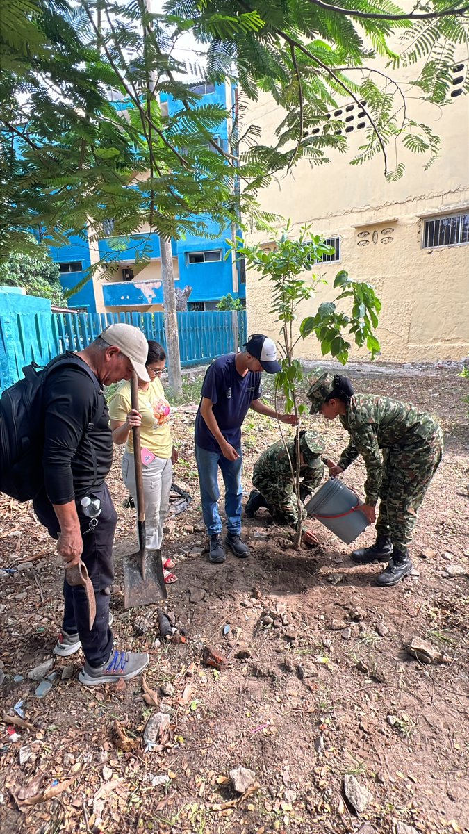 Ejercito_Div1's tweet photo. El Batallón de Policía Militar N.° 2, adscrito a la #SegundaBrigada, continúa desplegando acciones en Barranquilla, #Atlántico. En articulación con diversas entidades locales, se llevó a cabo una jornada de reforestación en la que se sembraron 2.000 árboles nativos.

​Esta iniciativa contribuye de manera significativa a la protección del medio ambiente, la recuperación de las zonas verdes y la promoción de la conciencia ambiental en el departamento.

​#PlanAmazonia 🌿