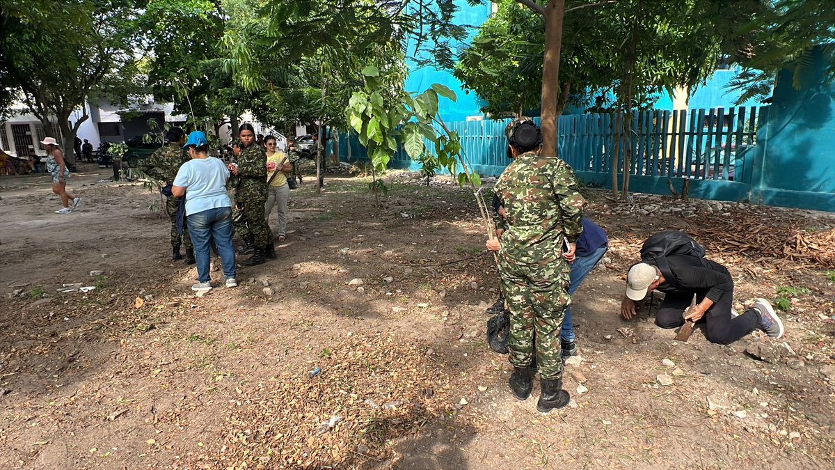 Ejercito_Div1's tweet photo. El Batallón de Policía Militar N.° 2, adscrito a la #SegundaBrigada, continúa desplegando acciones en Barranquilla, #Atlántico. En articulación con diversas entidades locales, se llevó a cabo una jornada de reforestación en la que se sembraron 2.000 árboles nativos.

​Esta iniciativa contribuye de manera significativa a la protección del medio ambiente, la recuperación de las zonas verdes y la promoción de la conciencia ambiental en el departamento.

​#PlanAmazonia 🌿