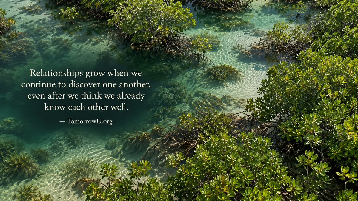 TomorrowU_org's tweet photo. Familiarity can make us think we know everything about someone.

But even the people closest to us have new thoughts, hopes, and experiences worth exploring.

✨ https://t.co/xasTxiOSO5

via @TomorrowU_org

#Relationships #Curiosity #Connection https://t.co/GqsuZfqPoh