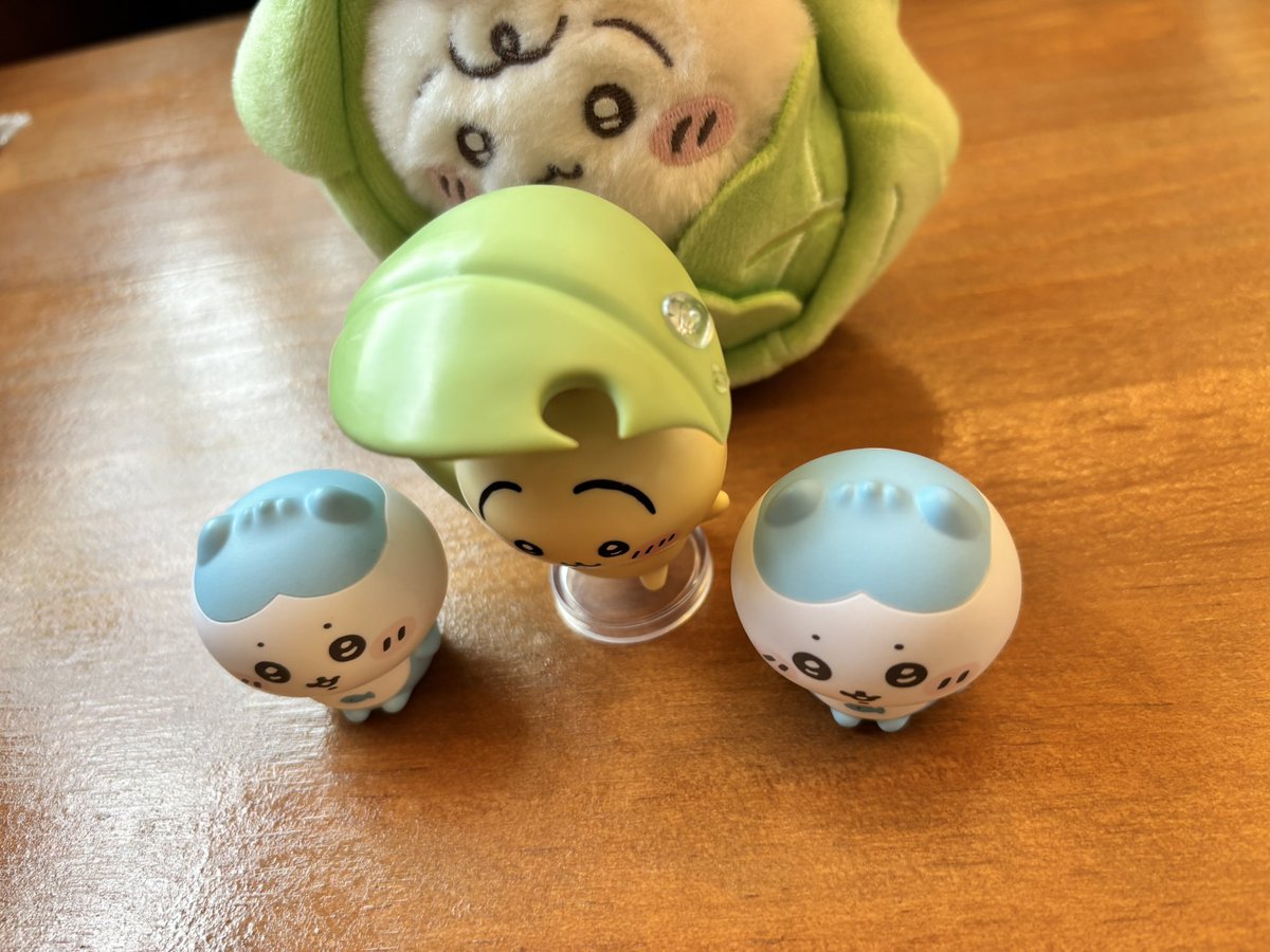nyuja290's tweet photo. 눈 감은 녀석들과
눈 뜬 녀석들 https://t.co/W6alr9O7Ij