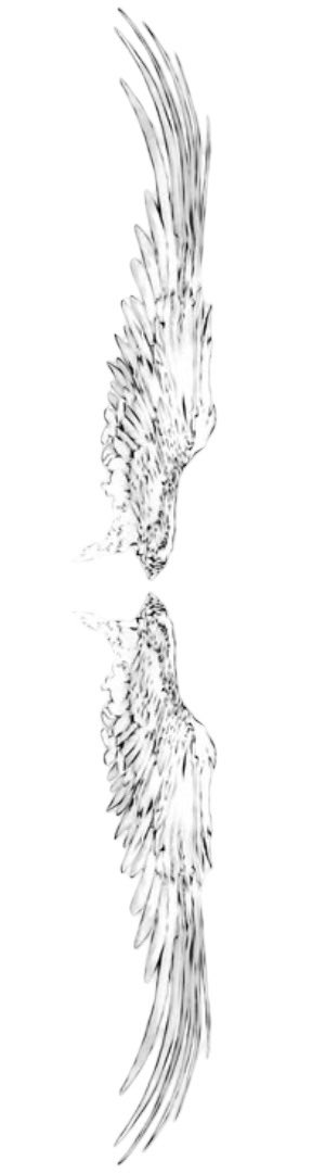 pxsaeki's tweet photo. ⠀⠀⠀⠀⠀⠀
⠀⠀⠀⠀⠀⠀ ⠀⠀ ॱ˙ॱᐧ.˳˳. ⠀❤︎ ⠀ ୧୧ ⠀  ꯭꯭   |꛱ ꛱͜ |
⠀⠀⠀⠀⠀⠀ ⠀ ⠀ ⠀  #𝚑. 𝚌𝚑𝚒𝚜𝚖𝚘𝚜𝚘 ⠀ ❊ ⠀♬
⠀⠀⠀⠀⠀⠀ https://t.co/t4YN3OFAnw