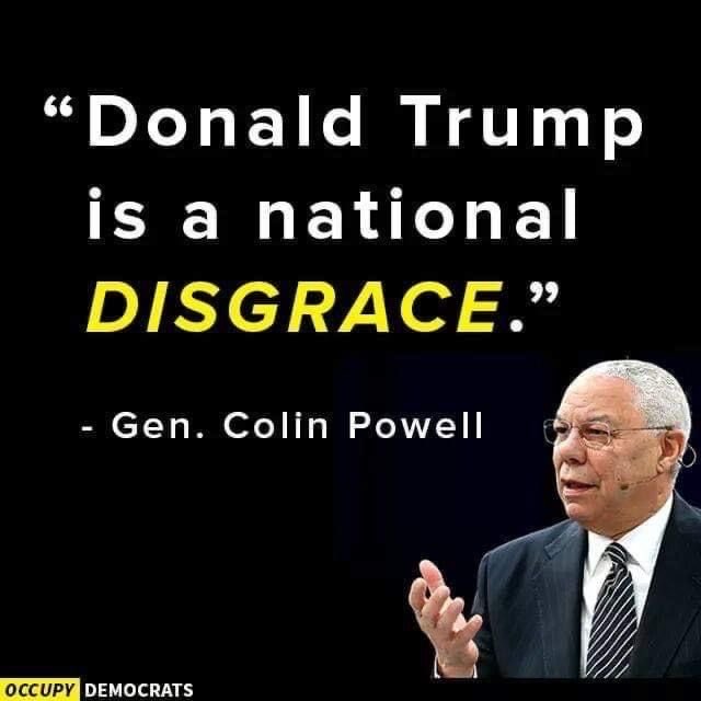 misshamilton58's tweet photo. @atensnut And his followers has drained whatever dignity tho country ever had. And they expect it to be great!! I bet none of you ever had a problem with Ilhan Omar until trump, I’m willing to bet you knew nothing of Ilhan Omar until trump. I bet none of you had a problem with Somalians. https://t.co/mJ41Z58mit
