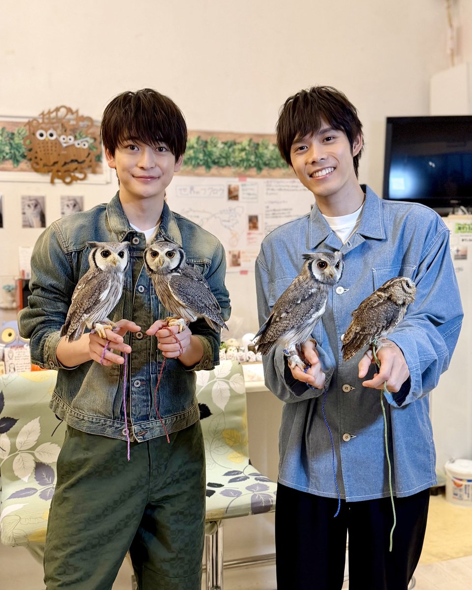 minamidaminami_'s tweet photo. 📺┊ 𝐌𝐞𝐝𝐢𝐚

10月17(土) 8:30～
『土曜はナニする ！？』
#高橋文哉 さん #細田佳央太 さんが
【日帰りぷらっとりっぷ】コーナーに出演.ᐟ.ᐟ

下町エリアで仲良し旅.˖✩
ぜひご覧ください✨

▼詳細はこちらから𝐜𝐡𝐞𝐜𝐤 .ᐟ
https://t.co/OTifyc4b8A

@ktv_donani
#南田南弁護士は天才肌 
#カンテレ
𝟏𝟎月𝟏𝟗日(月)よる𝟏𝟎時スタート🐋
（初回15分拡大）