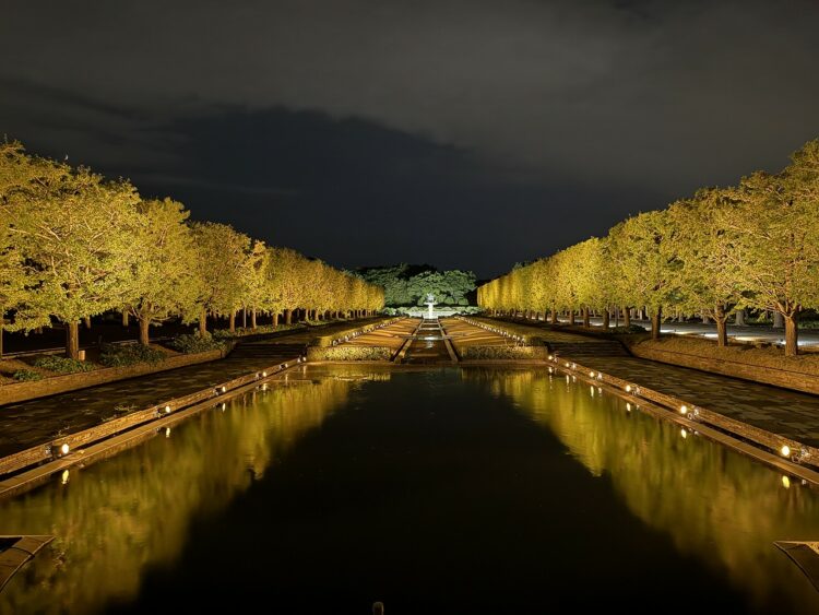 showakinenpark's tweet photo. 【秋の夜散歩2026　特別先行観賞会　受付中】
10月29日(木)から「黄葉・紅葉まつり＆秋の夜散歩2026」が開催されます！
今年『日本夜景遺産』に認定された「秋の夜散歩」では、かたらいのイチョウ並木、カナール、日本庭園・盆栽苑でのライトアップを実施いたします。

また、現在10月28日(水)に行われる特別先行観賞会の予約を受付中です♪
人の映り込みが少ない写真を撮りたい方や混雑を避けてゆっくり楽しみたい方におすすめです◎
お申し込みは先着順となります。
▼詳細・お申込みは下記からご確認ください。
https://t.co/dhkidKaTOR

※写真は過去の10月下旬に撮影したものです。