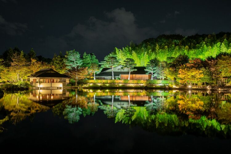 showakinenpark's tweet photo. 【秋の夜散歩2026　特別先行観賞会　受付中】
10月29日(木)から「黄葉・紅葉まつり＆秋の夜散歩2026」が開催されます！
今年『日本夜景遺産』に認定された「秋の夜散歩」では、かたらいのイチョウ並木、カナール、日本庭園・盆栽苑でのライトアップを実施いたします。

また、現在10月28日(水)に行われる特別先行観賞会の予約を受付中です♪
人の映り込みが少ない写真を撮りたい方や混雑を避けてゆっくり楽しみたい方におすすめです◎
お申し込みは先着順となります。
▼詳細・お申込みは下記からご確認ください。
https://t.co/dhkidKaTOR

※写真は過去の10月下旬に撮影したものです。