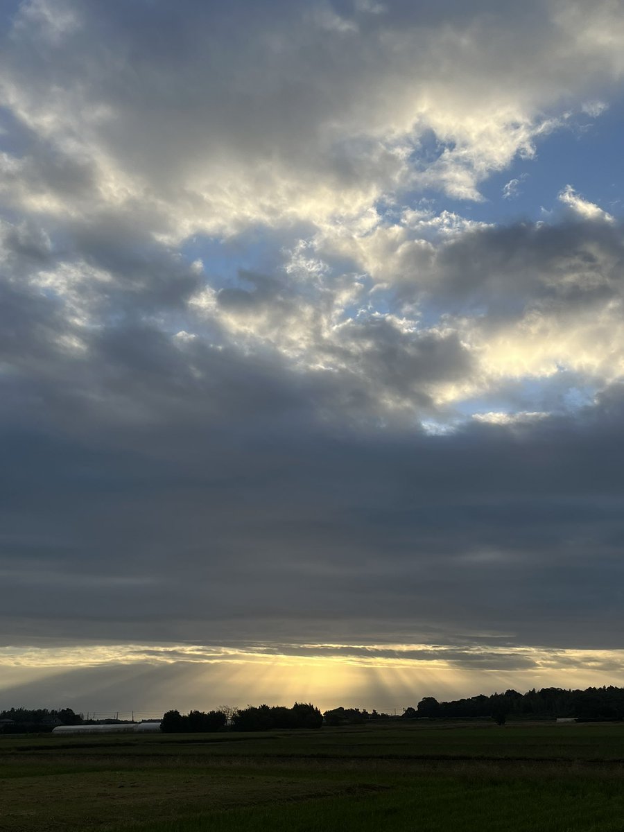 Storiesulfe's tweet photo. https://t.co/GfY3pIQpU5