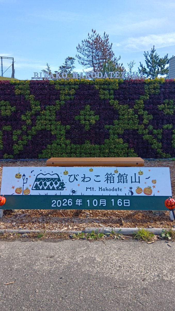 toshiyuki2266vv's tweet photo. 琵琶湖　箱館山に来ました
天気も良く　コキアが綺���です https://t.co/au8mXkbqGD