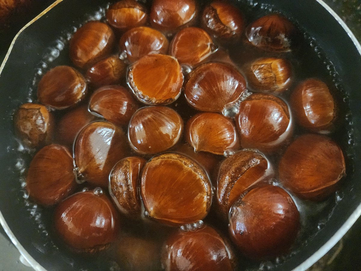 gameworld712's tweet photo. 実家の土地から大量の栗をGETしたのは
良いけど、どうするかとなり
よし茹でるかと現在、栗を茹でてる🌰
茹でた栗を1つ食べると、そこから止まらないほど、食べちゃうんだよね🤣
🌰🌰🌰ꉂꉂ(ˊ൧̑ ˋ＊)ʬʬ https://t.co/v2lNGnEoE0