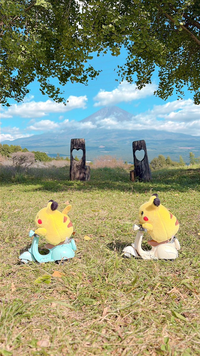 MAI37722598's tweet photo. ここでもオラオラ🛵🛵💨

パンダにも乗ったピカ🐼

(てんとう虫に乗っているのはうちのわんこ🐶) https://t.co/Mn69hQ3z8X