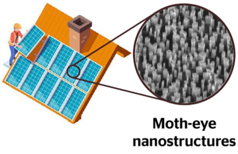 pvmagazineoz's tweet photo. Scientists develop moth-eye-inspired antireflective surfaces for PV modules: Researchers in Portugal have investigated the mechanical durability of moth-eye-inspired antireflective silicon surfaces for photovoltaic… dlvr.​it/TVx1V4 #BatteryStorage #Australia #PVProjects https://t.co/5Ydbg8A7zy