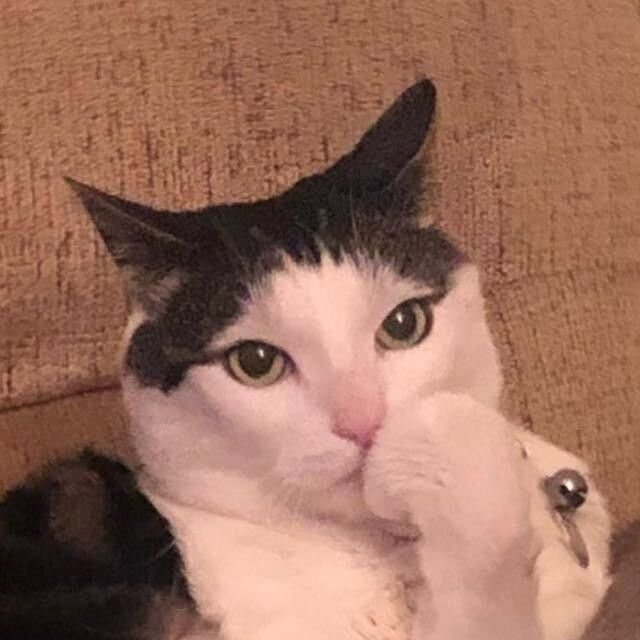 aSunnykl's tweet photo. Gnt é confiável mandar pdf da sua história para leitores betas? https://t.co/1zaZLOOYgq