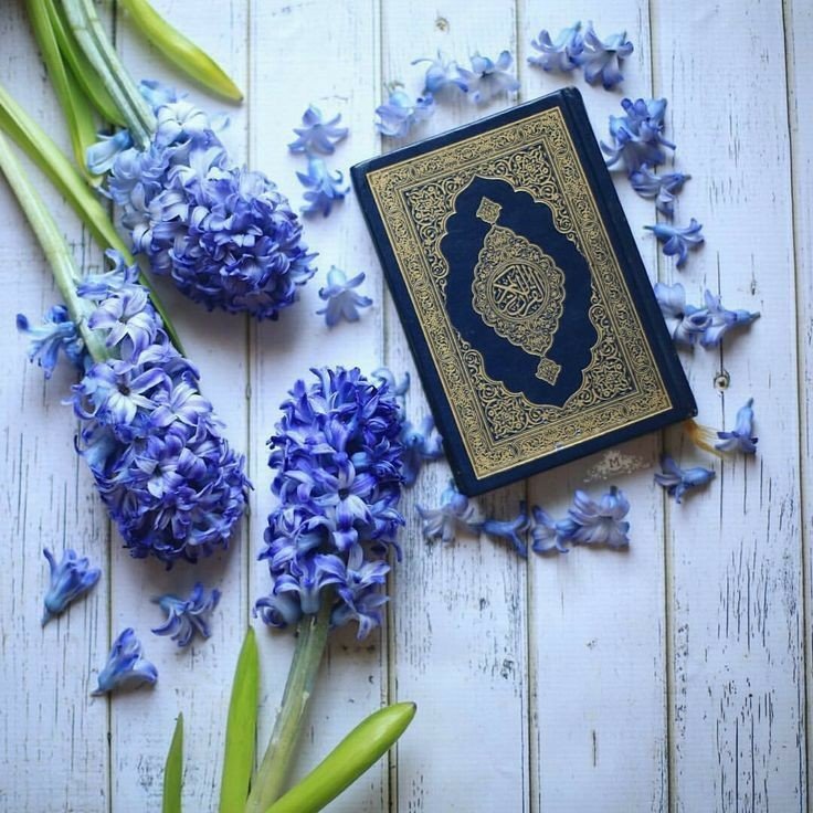 rusulwr's tweet photo. هُدًى وَبُشْرَىٰ لِلْمُؤْمِنِينَ✨💙 https://t.co/tmRAgavcwo