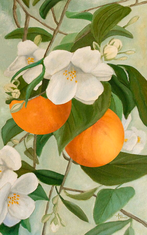 ampomata's tweet photo. This is my painting, "Branch Of Orange Tree In Bloom". https://t.co/lq4VN7dHcv