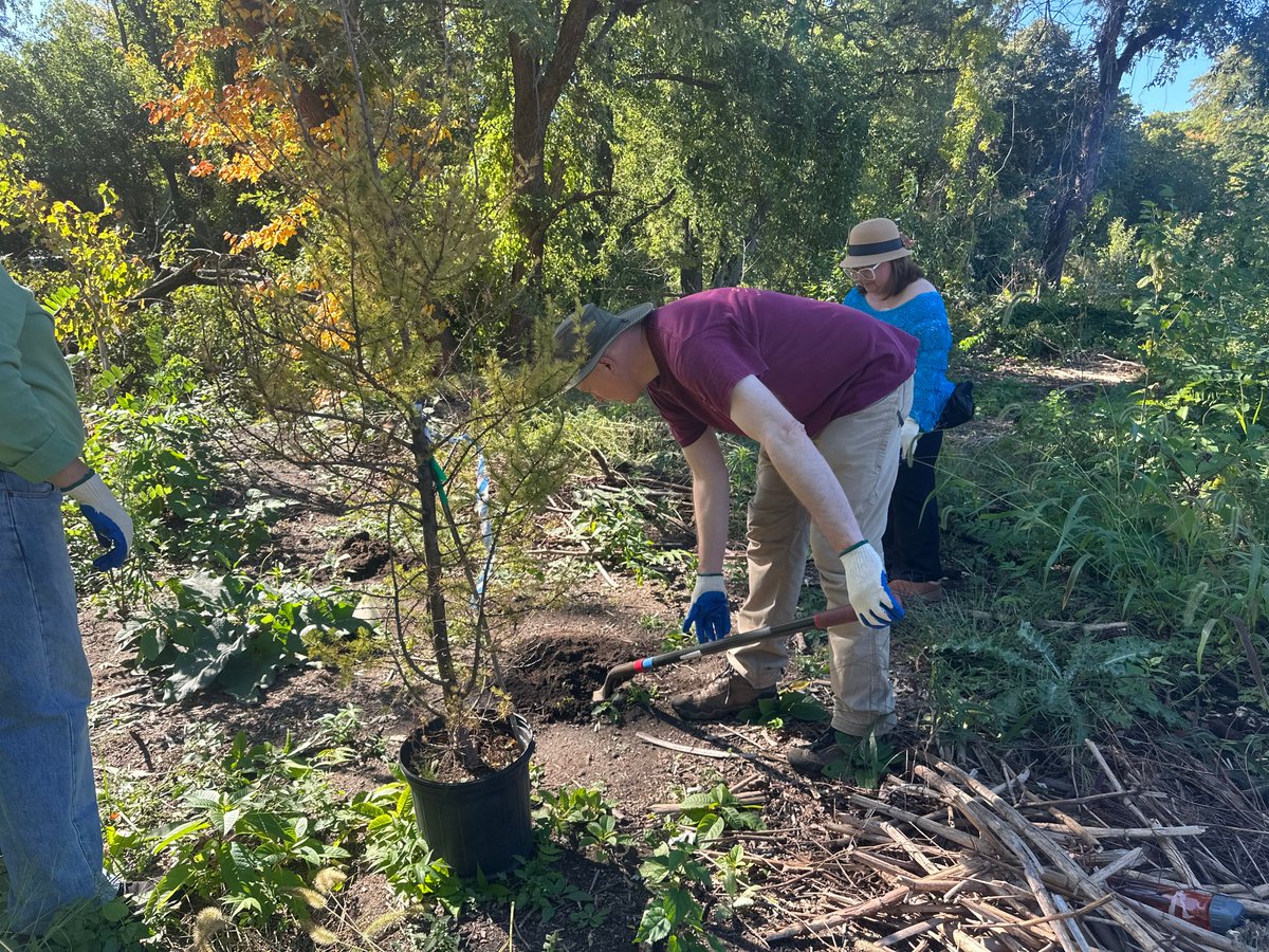 HispanicAccess's tweet photo. We were proud to join our Nuestros Bosques grantee, Community Christian Fellowship-Lawrence, for the Hope Takes Root community planting event! This initiative is creating greener, healthier neighborhoods, and we are deeply grateful for our dedicated partners.💚 https://t.co/IXwMG33OdT