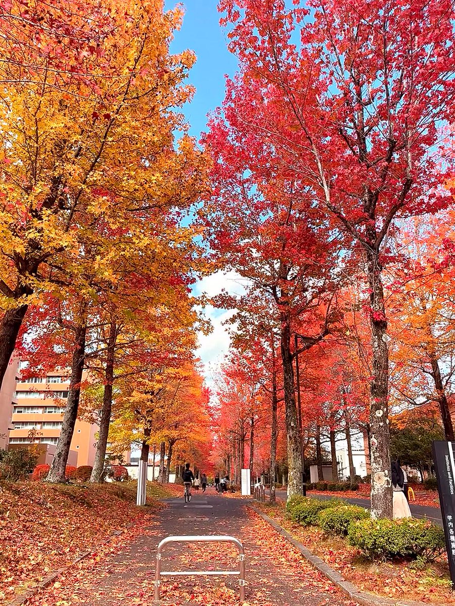 dlrprasad's tweet photo. #秋の楽しみ方ガイド #秋色を追いかける旅 #秋の紅葉狩り #日本旅行 #秋の自然の風景 #今年も紅葉の季節がやってきた #秋は絶景の宝庫 #紅葉 #雄獅旅遊 #liontravel https://t.co/XH0pDr0IEb