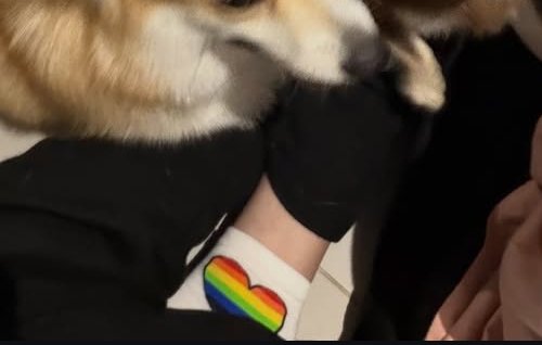 Rodialubin's tweet photo. Podrás ser gay pero no más que jimmy 🫠🤭 https://t.co/WNIBpzc1Bo