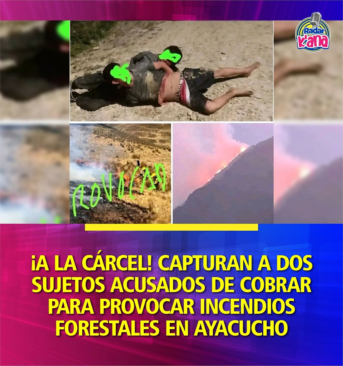 susana_bozzo's tweet photo. ¡A LA CÁRCEL! CAPTURAN A DOS SUJETOS ACUSADOS DE COBRAR PARA PROVOCAR INCENDIOS FORESTALES EN AYACUCHO
La indignación y la alerta máxima se apoderaron de la región de Ayacucho tras la captura de dos sujetos acusados de iniciar de manera intencional voraces incendios forestales. La rápida intervención de los propios comuneros permitió la detención de los sospechosos, quienes, según las investigaciones preliminares, habrían estado recibiendo pagos en dinero por parte de terceros para prender fuego a grandes extensiones de pastizales y cobertura vegetal en la zona.

Esta alarmante detención ocurre en un momento sumamente crítico para la región, donde múltiples siniestros continúan activos, destruyendo ecosistemas frágiles, devorando áreas agrícolas y poniendo en grave riesgo la vida de las comunidades rurales. Tras ser entregados a la Policía Nacional y al Ministerio Público, se espera que las autoridades profundicen las investigaciones para identificar a las mentes macabras detrás de estas retribuciones económicas y aplicar todo el peso de la ley sobre los responsables.