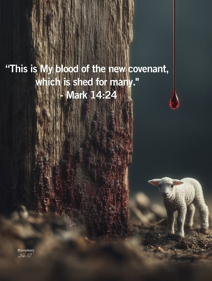 FaithFedber3333's tweet photo. #jesus #bible #god #thebloodofjesus #bibleverse #grace https://t.co/NVdTVIR5v0