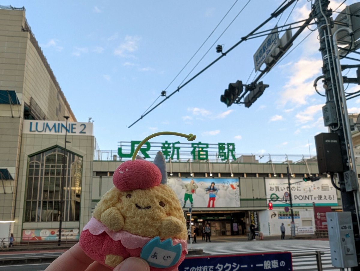 street123cat's tweet photo. 🩵🍒 https://t.co/OcrXaSCEnm