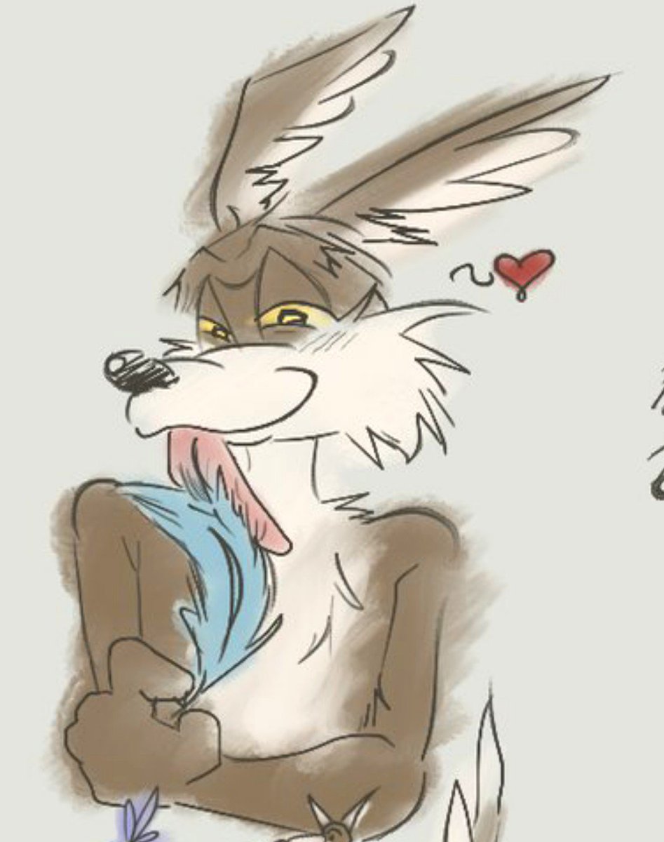 _Oba_Yozo_'s tweet photo. Eu não consigo parar de desenhar eles

#wileroad #wilerunner #LoonetyTunes #coyotevsacmeㅤㅤ https://t.co/iMQ8I0TNIZ