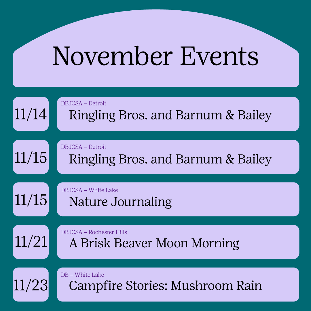 GSSEM's tweet photo. 🍂✨ November is packed with Girl Scout adventures! Whether you're looking to earn badges, learn new skills, or make memories with your troop, November is full of opportunities for fun and discovery. 🍁 Start planning your next Girl Scout adventure!
https://t.co/rB5wHghaAA https://t.co/QLOkDMkuec