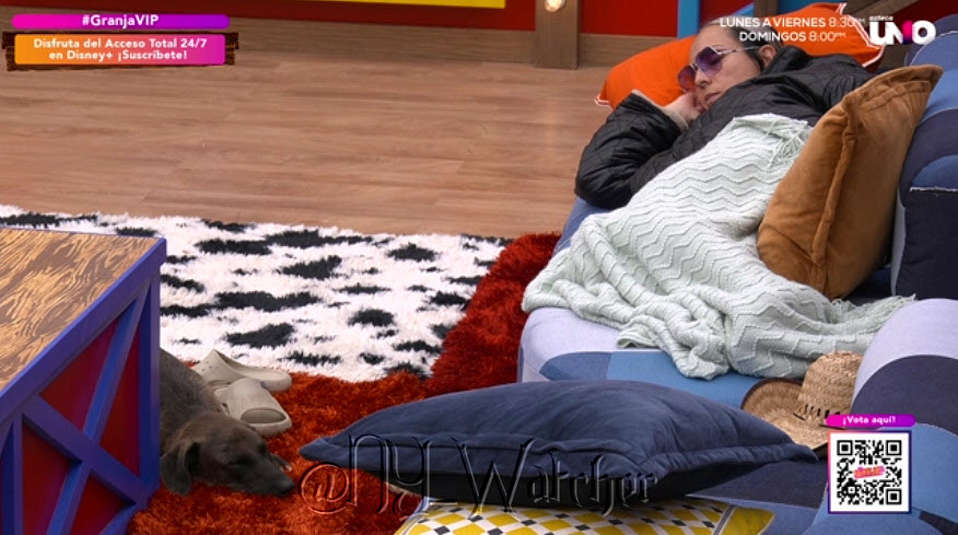 NY_Watcher's tweet photo. #LaGranjaVIP Meanwhile it's Nap Time for Tlacoyo - Ivonne and a few other Housemates 😴💤💤
#LaGranjaVIPMX
#LaGranjaMX https://t.co/FktRBiybML