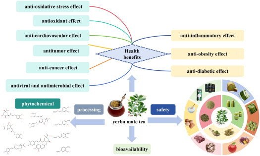 RicardoMTorr's tweet photo. #Yerbamate : a critical review on its phytochemicals, health benefits, safety, & food industry applications

🧉 YM contains a variety of bioactive compounds, including polyphenols, methylxanthines, saponins, & flavonoids.

🧉 Health benefits of YM:  anti-inflammatory, antioxidant, anti-obesity, & cardioprotective properties, along with potential prebiotic effects.

https://t.co/Jlx8JtUeto @_INPST @nuclearball
