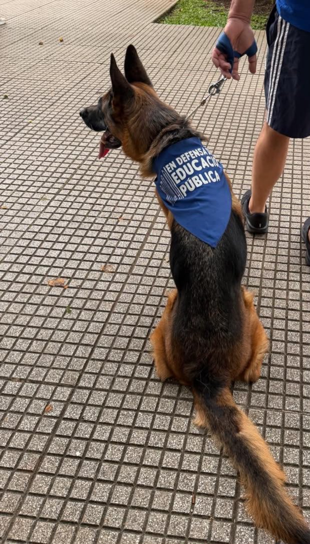 betoalbornoz's tweet photo. La negrita hoy dijo presente https://t.co/ZD4XC3Osfb