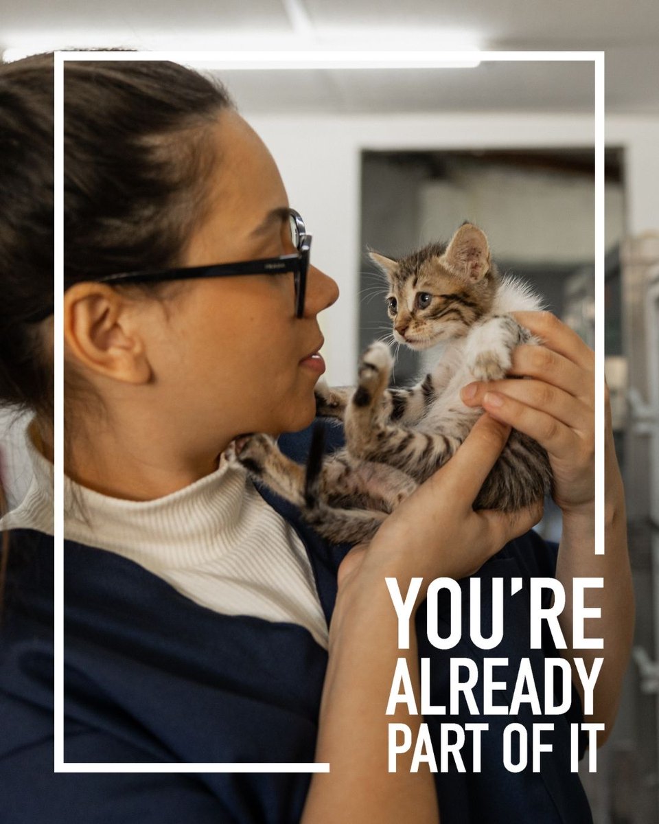 PHACanada's tweet photo. 💜 Nonprofits connect communities and offer support every day. PHA Canada is joining the Already Part of It campaign to celebrate their impact across Canada!

Discover more: https://t.co/1WfjvJbhgo

#NonProfitsAndYou #AlreadyPartOfIt #PHACanada https://t.co/5riavKzDnP