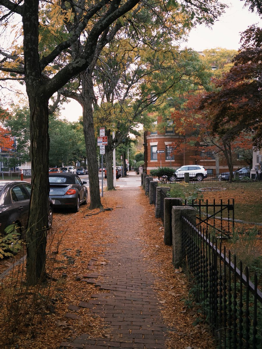 adhoorii's tweet photo. milf (man i love fall) https://t.co/egkSHeMWpF