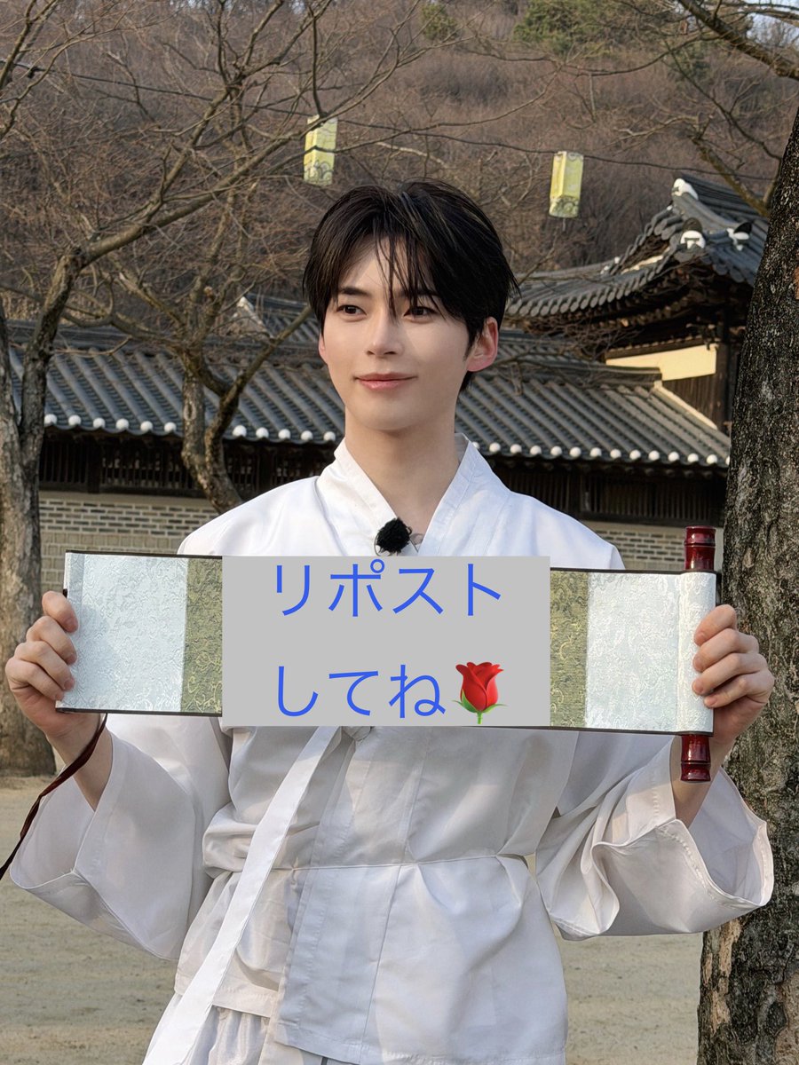 junta0201's tweet photo. 🌹✨✨１RP＝１VOTE✨✨🌹

#2026MAMAVOTE #ZEROBASEONE https://t.co/hX4EnmVLkf