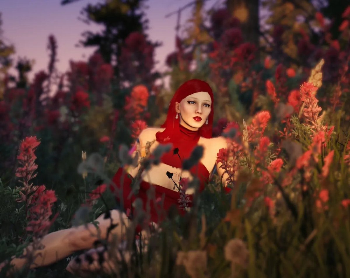 novasobored's tweet photo. my favorite part of nopixel V so far has been taking photos 📸 here's some of my favs i've taken so far :) dixx pics is up! 🤠 https://t.co/y7fumycInW