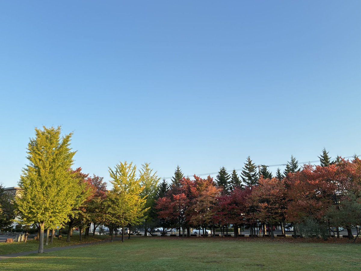 yuukanpai's tweet photo. 今年は秋が長いみたいね🍂
さて、お届け物、いつ届くのかなぁー😆 https://t.co/NqZat0uUPQ