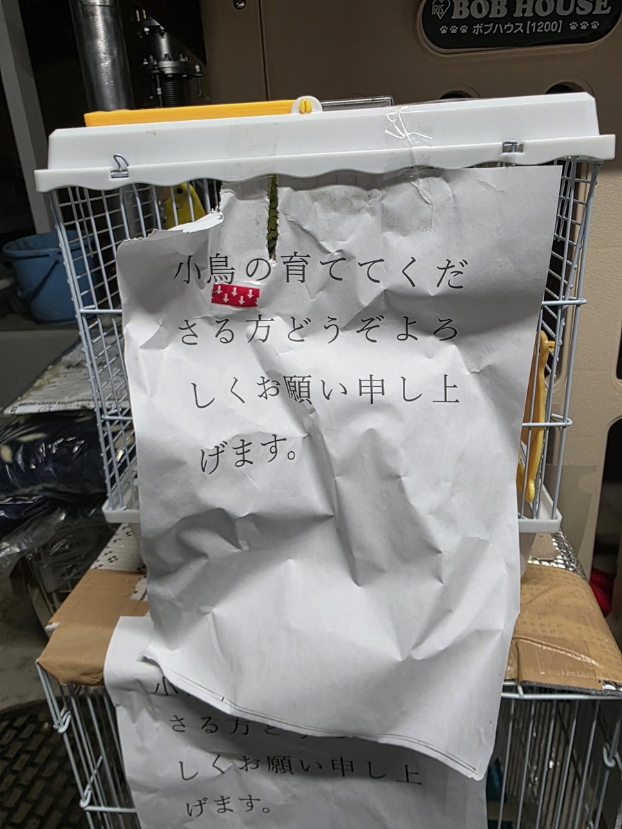 Bridge_f_birds's tweet photo. セキセイ4羽は狭いケージに身を寄せ合うようにしていました https://t.co/ElakSadcre