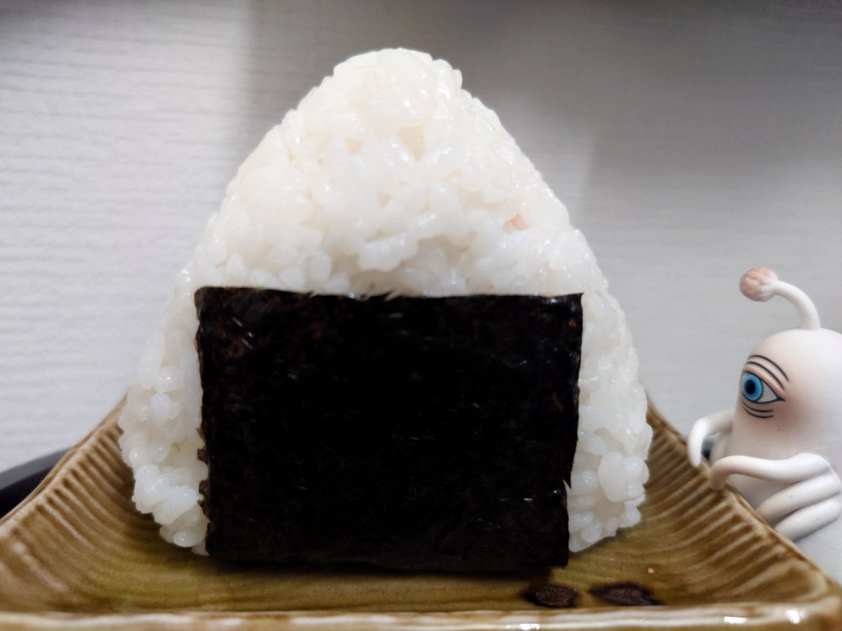 poe2384's tweet photo. 10月16日「#世界食料デー」だそうです🍙 #OnigiriAction https://t.co/X11uOFbA1h