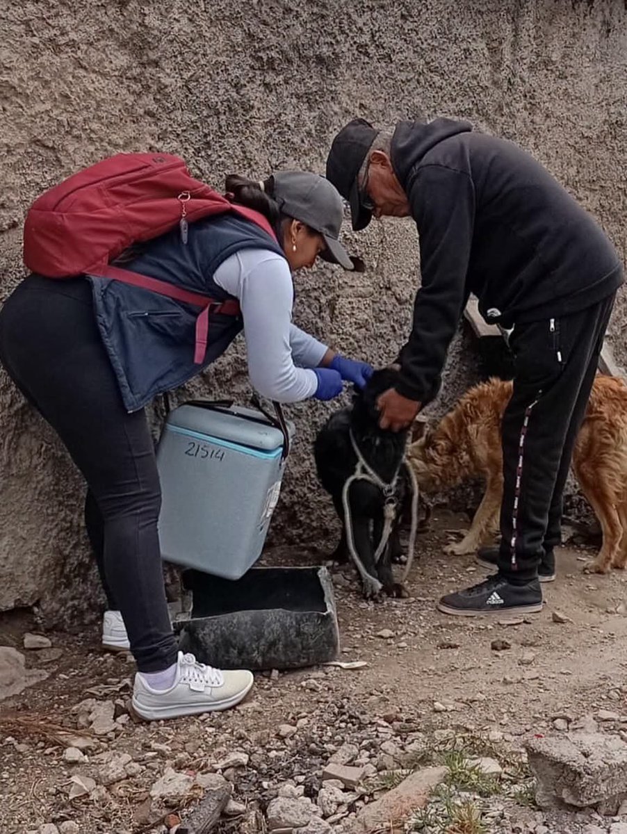DPS_Chimborazo's tweet photo. #Guano | El equipo 👨‍⚕️👩‍⚕️de salud realiza visitas domiciliarias a pacientes de grupos vulnerables en las comunidades de Chingazo Bajo y Tamaute. 

Esta iniciativa garantiza un seguimiento médico integral, oportuno y digno directamente en sus hogares 🏡 https://t.co/5p4H6z9coa
