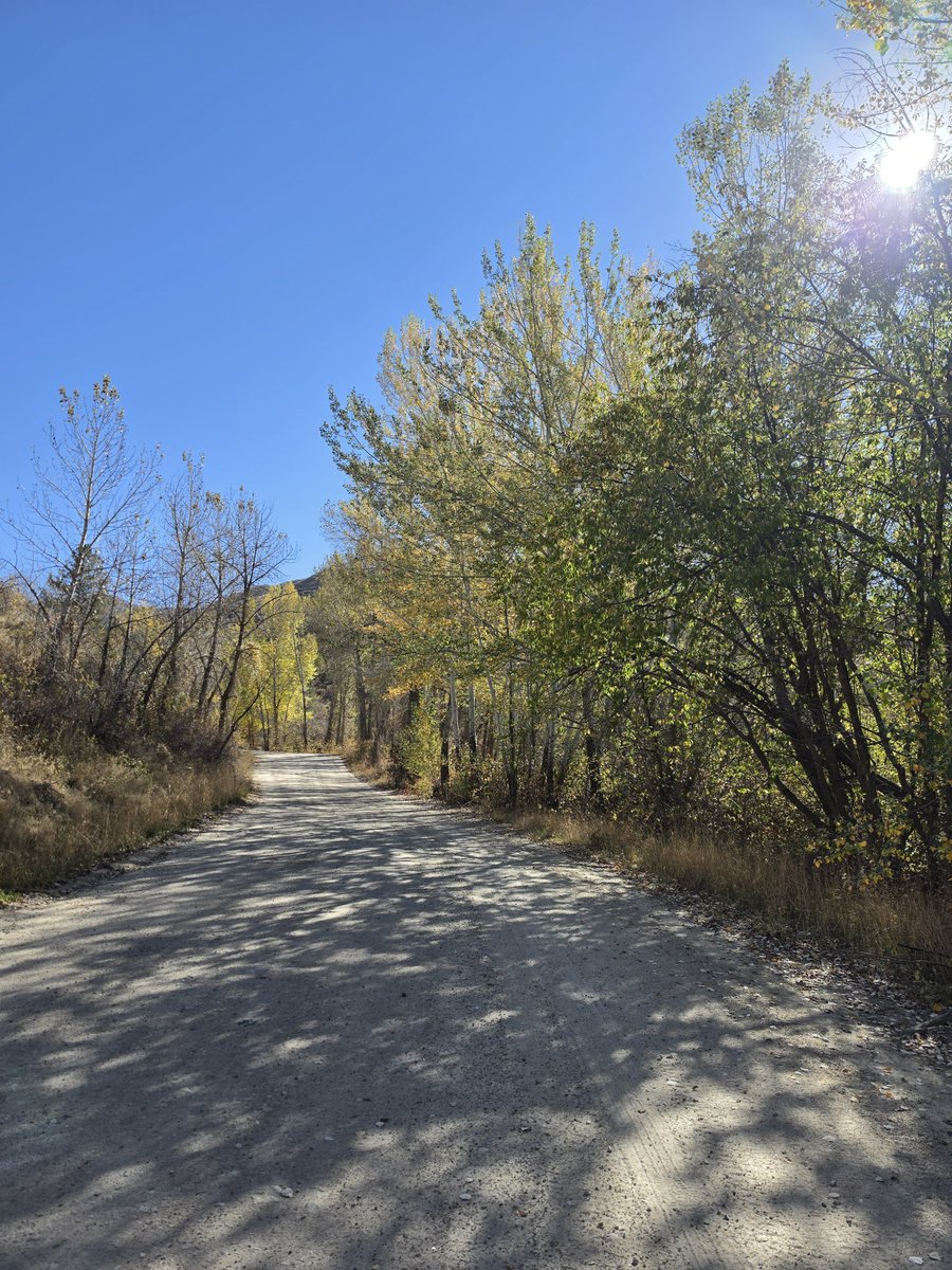 MKhaoS86's tweet photo. Great midday run along some buttery dirt road with Autumn colors
Realized my issue at the end of my mountain Summer was just the fatigue on quads from all of the technical descending, and at a certain point recovery just wasn't catching up. Back to it now
#running #trailrunning https://t.co/k1Dh0QaIaU