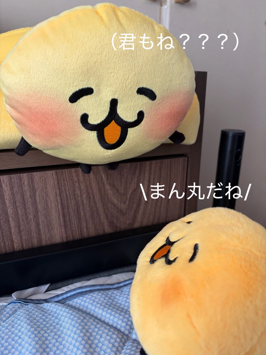 tmguiterlo's tweet photo. ほにゃとほにゃの会合 https://t.co/wGYIT0ShSq